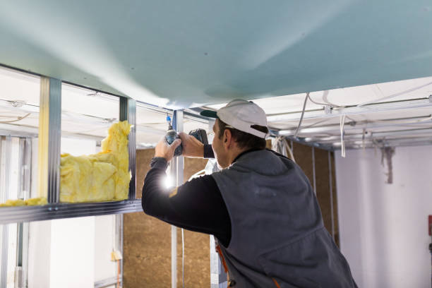 Best Spray Foam Insulation  in Lake Camelot, IL