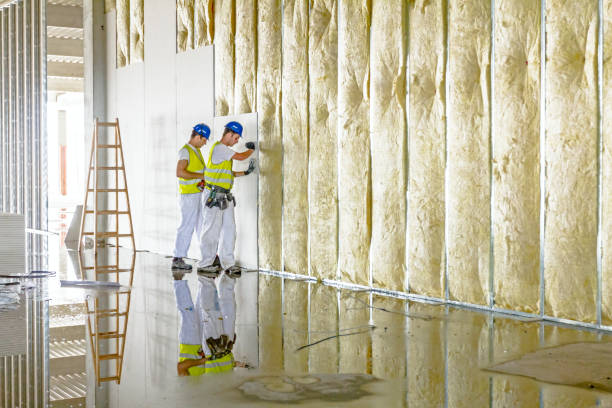 Insulation for New Construction in Lake Camelot, IL